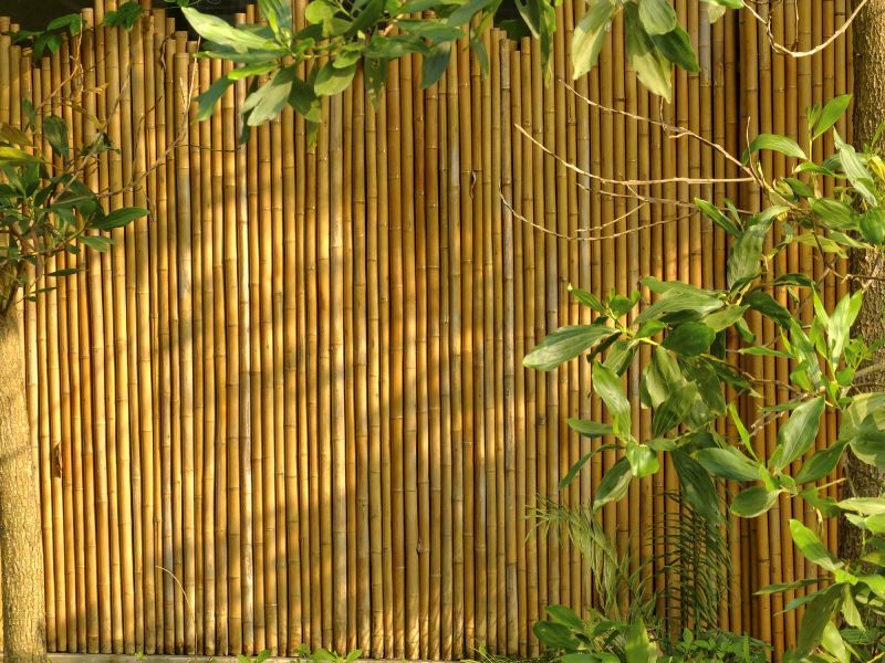 Bamboo Fence Installation