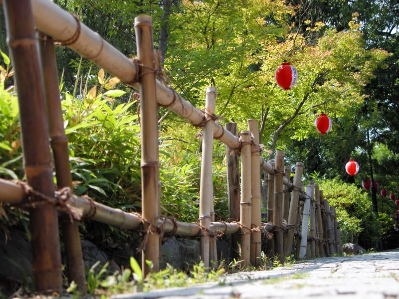 Bamboo Fence Installation