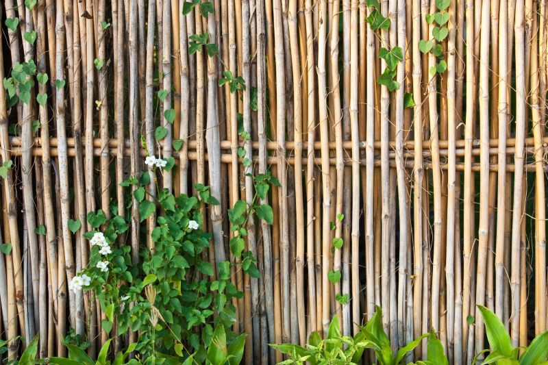 Bamboo Fence in Spring
