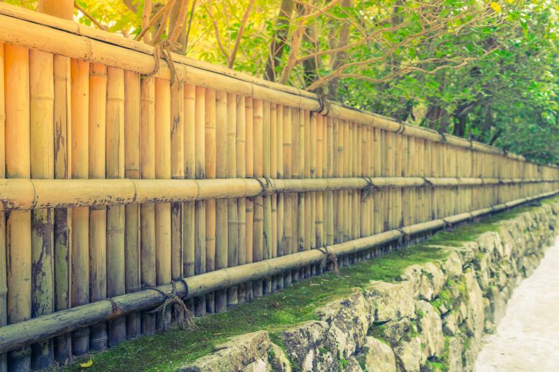 Bamboo Fence in Landscape