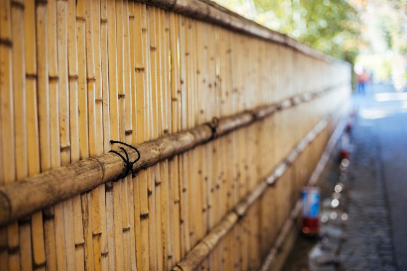 Elegant Bamboo Privacy Fence